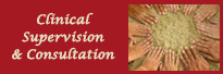 Clinical Supervision & Consultation